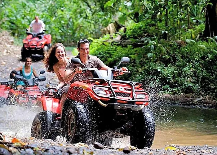 The Luxury